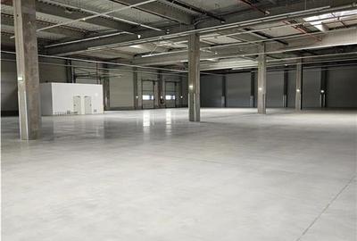 Spatiu Industrial - 600 mp - Productie - Depozitare - Distributie - 5