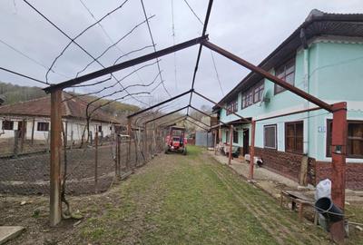 Casa P+1 situata in comuna Ciuperceni - 16