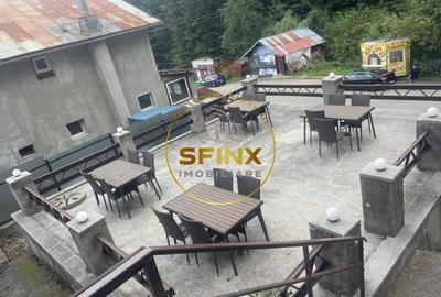Pensiune 12 Camere si Restaurant - statiune turistica montana Busteni - 1