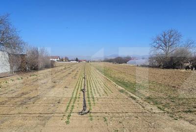 Teren intravilan de vanzare, 4550 mp, in zona Santuhalm - 2