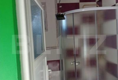 Casa spatioasa in Sanmihaiu de Campie - 7