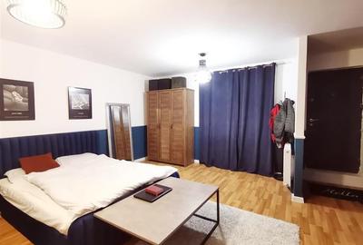 Garsonieră decomandată în Vișan - 2