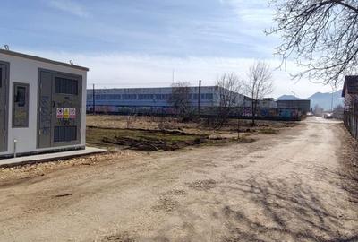 Teren de 16500 mp, în Florilor