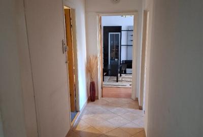 Apartament 2 camere decomandate Teiul Doamnie-Lacul Tei - 9