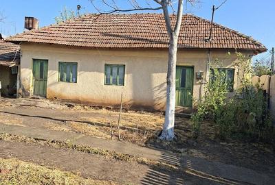 Casă cu Teren 1500 Mp în Comanca - 5