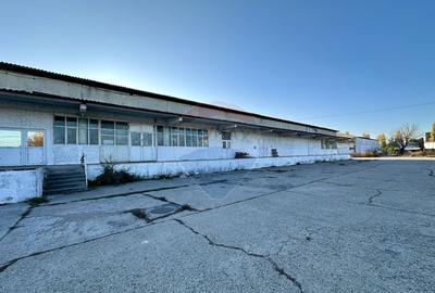 Hale Brailei Plus Frig - 7