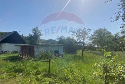 Teren de vanzare Baia Mare / Strada Firiza - 4