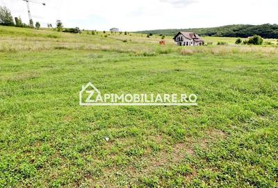 Teren 6.800mp teren cu deschidere de 100 m la drum asfaltat - 5