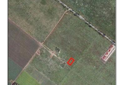 Investitie ideala teren extravilan Popesti-Leordeni in tarla parcelata - 4