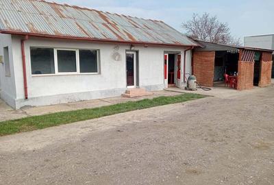 Teren de 2200 mp, în Lipia - 5