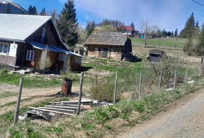 Casă cu 3 camere cu Teren 3892 Mp în Dorna Candrenilor - 5