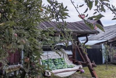 Casă cu 4 camere cu Teren 1600 Mp în Central - 3