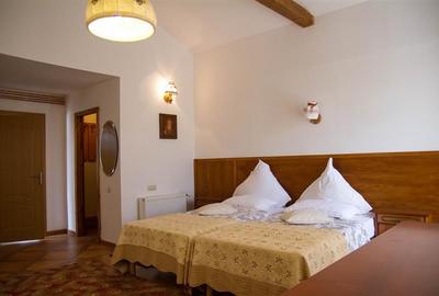 Hotel Bielmann,unicitate si profitabilitate optima in turism,Sanpetru, Brasov - 28