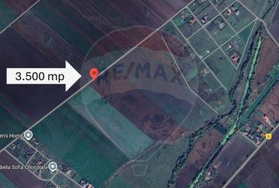 Teren 3.500 MP | Halchiu | Jud. Brasov - 11