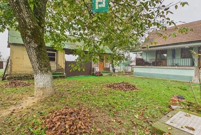 Casa 2 camere la DN7 in Odvos - 3