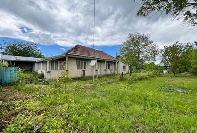 Casa + teren 4430 mp, vie si pomi fructiferi, 22 km de Tecuci - 29