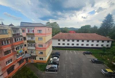 Apartament cu 2 camere de vanzare in Curtea de Arge?. - 18