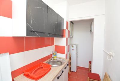 Oferta Inchiriere Garsoniera Cocheta Rahova - 13