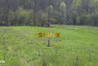 Spațiu comercial, în Furești - 6