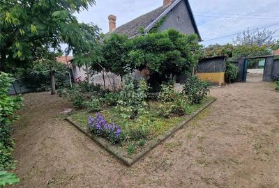 Sosdea 2 Case cu Teren 4657 Mp. - 11