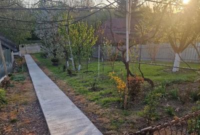 Casă cu 3 camere cu Teren 1352 Mp în Horia - 3
