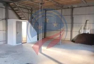 Spațiu industrial, 125 mp în Craiovița Nouă