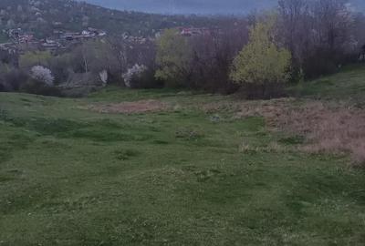 Teren de 2600 mp, în Izvoarele - 2