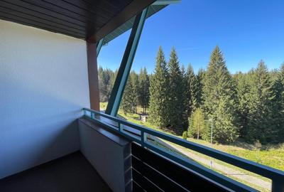 Silver Mountain Resort & Spa - 11