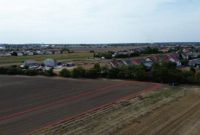 Teren intravilan 1ha Darza ideal pentru case, hala, ferma - 5