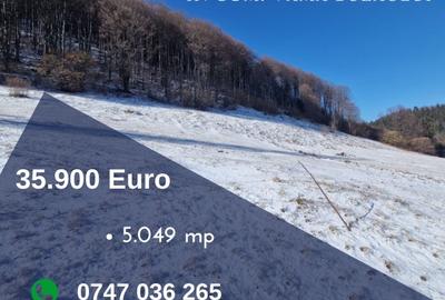 De vânzare teren extravilan în Vama Buzăului!