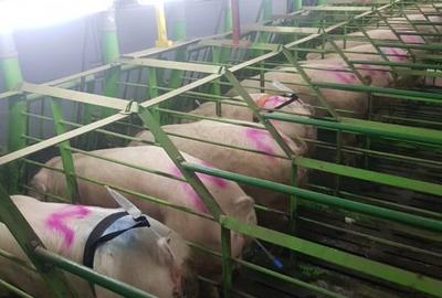 Spațiu industrial, de 1,600 mp, în Exterior Nord - 2