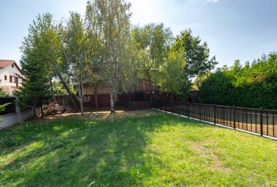 Vanzare Vila cu piscina Iancu Nicolae - 27