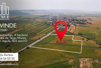 Teren extravilan de vânzare, 4.02ha - 40272m?, Gornești!
