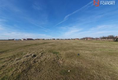 Teren Construcții intravilan de 6400 mp, în Pădureni (Jebel) - 18