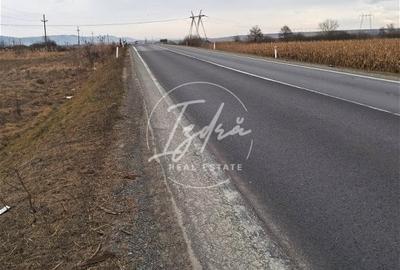 Teren extravilan Avrig - 3