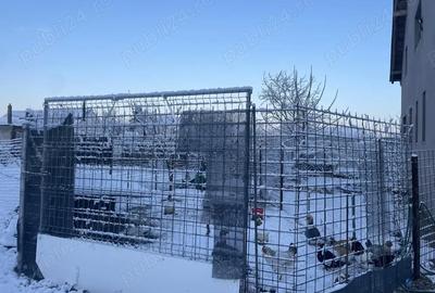 Casă cu 4 camere în Central - 3