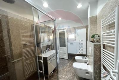 Casa str. Progresului , Sebes, destinatie : uni/multifam... - 4