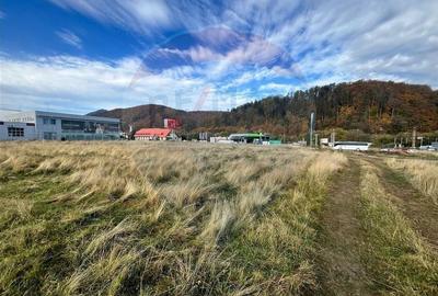 Teren intravilan în Bunloc - 749 mp - investiție - 1