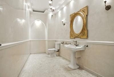 Vila cu arhitectura deosebita, adiacent Bd-ului Lascar Catargiu, RENOVATA - 11