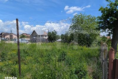 Teren de 12700 mp, în Priseaca - 3