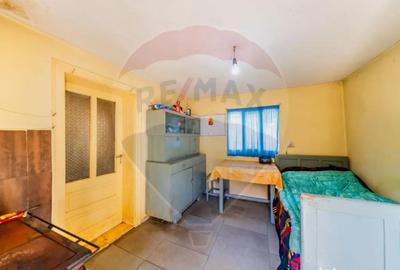 Casă cu 2 camere cu Teren 4500 Mp în Cărand - 7