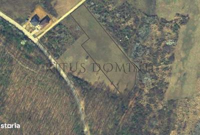 Spațiu comercial, în Central