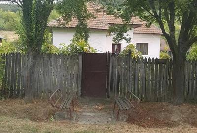Casă cu 5 camere cu Teren 3200 Mp în Stângăceaua - 3