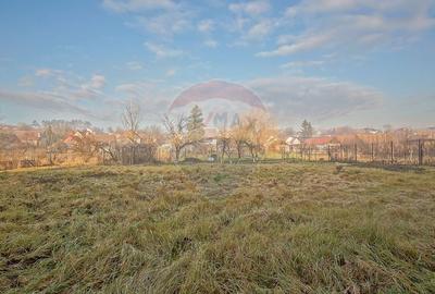 Casă cu 6 camere cu Teren 2134 Mp în Cincu - 41