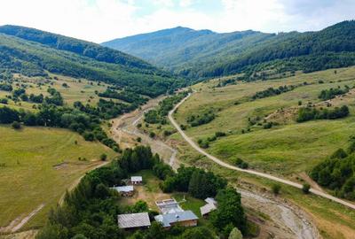 Cabana de inchiriat cu sala de evenimente - Valea Mare, Prahova