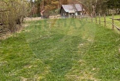 Teren Construcții intravilan de 3183 mp, în Dorna-Arini - 5
