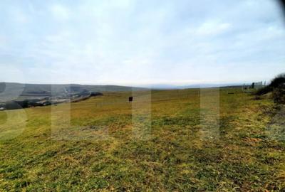 Teren de 4300 mp, în Sopor - 5