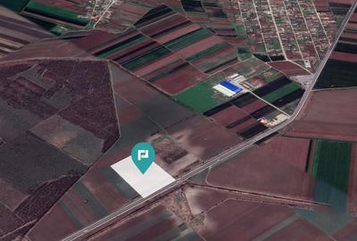 Teren 48300 mp, Daia, Giurgiu - 3