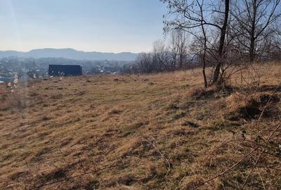 7300 mp Campina, Muscel, 3000 mp + 4300 mp, intravilan, zona mixta de dezvoltare - 7