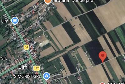 Teren de 10000 mp, în Ulmi - 2